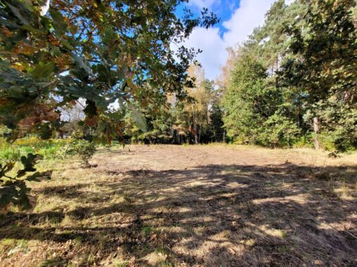 Property image 101675737