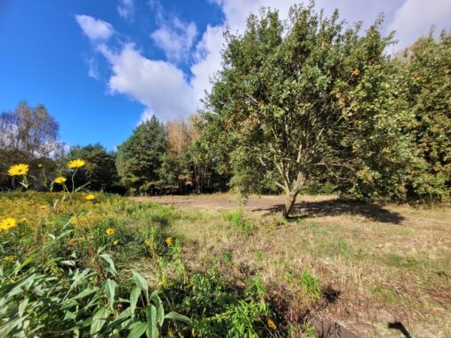 Property image 101675843