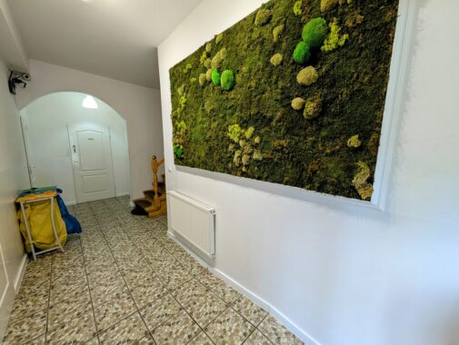 Property image 105888271