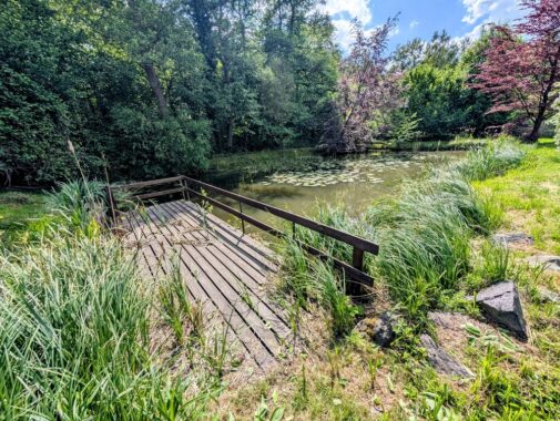 Property image 105888288