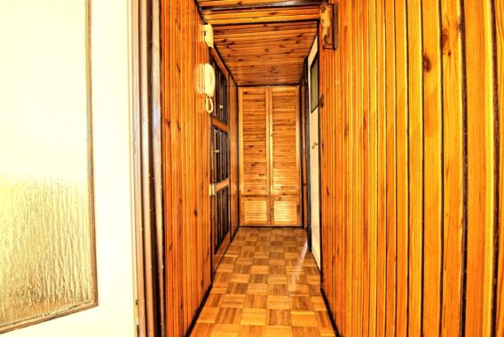 id zdjęcia: 112022087