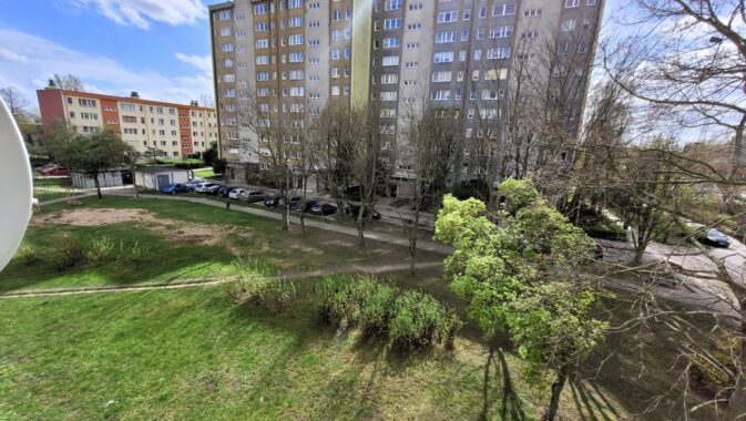 id zdjęcia: 112022093