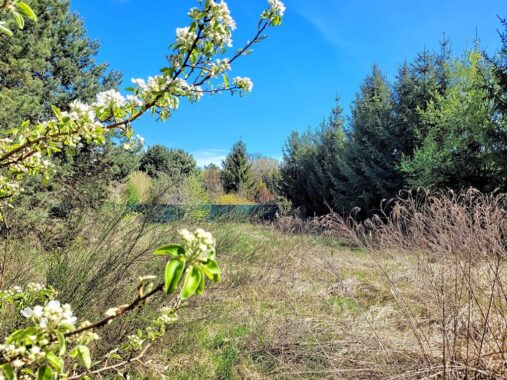 id zdjęcia: 112245442