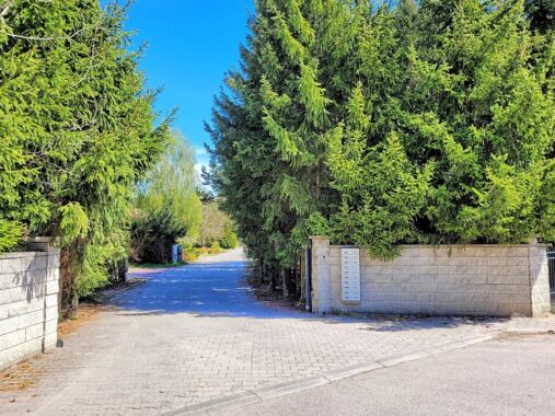 id zdjęcia: 112245625