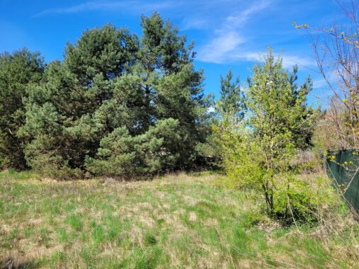 id zdjęcia: 112246030