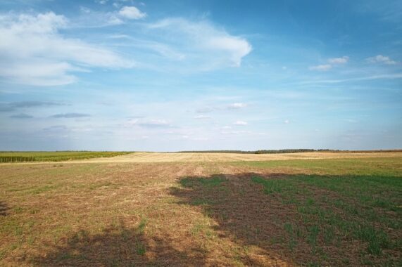 Property image 85252600