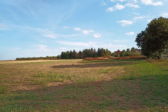 Property image 85252602