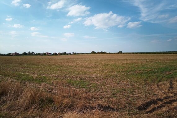 Property image 85252604