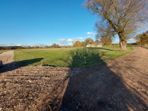 Property image 87254982