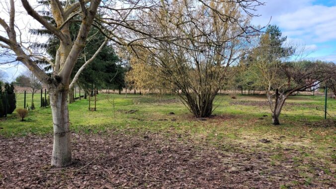Property image 96782106